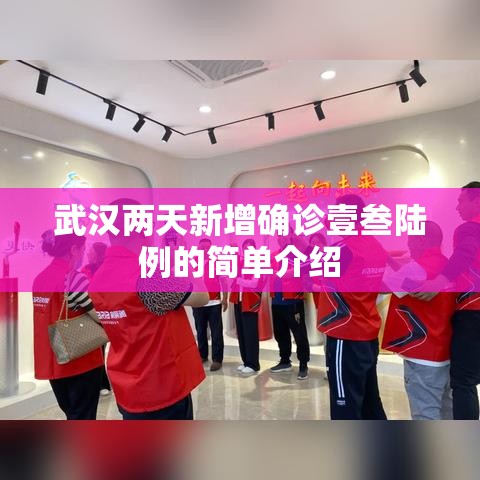 武汉两天新增确诊壹叁陆例的简单介绍