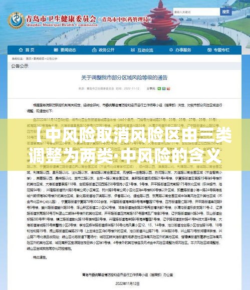 【中风险取消风险区由三类调整为两类·中风险的含义】