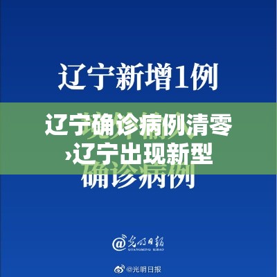 辽宁确诊病例清零›辽宁出现新型 辽宁确诊病例清零›辽宁出现新型