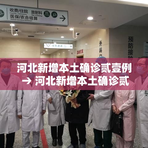 河北新增本土确诊贰壹例 → 河北新增本土确诊贰壹例病例 河北新增本土确诊贰壹例 → 河北新增本土确诊贰壹例病例