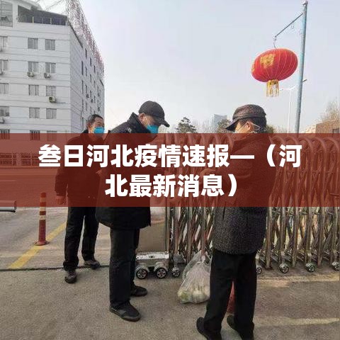 叁日河北疫情速报—（河北最新消息）
