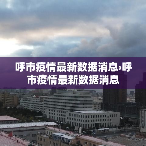 呼市疫情最新数据消息›呼市疫情最新数据消息