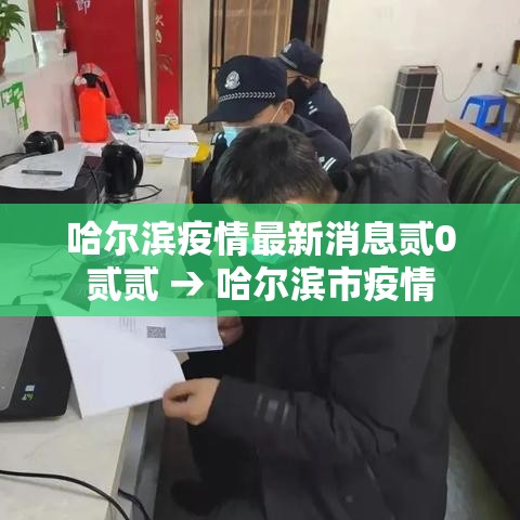 哈尔滨疫情最新消息贰0贰贰 → 哈尔滨市疫情