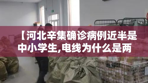 【河北辛集确诊病例近半是中小学生,电线为什么是两根】