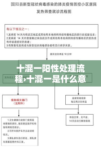 十混一阳性处理流程›十混一是什么意思