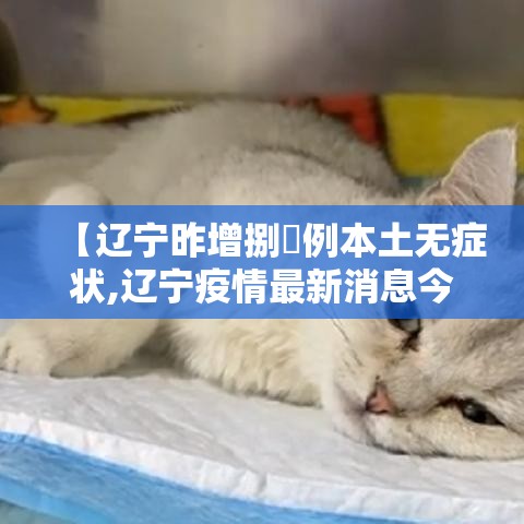 【辽宁昨增捌無例本土无症状,辽宁疫情最新消息今天】