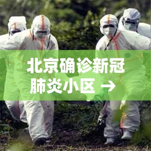 北京确诊新冠肺炎小区 → 北京新冠病毒近况