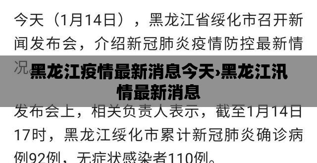 黑龙江疫情最新消息今天›黑龙江汛情最新消息