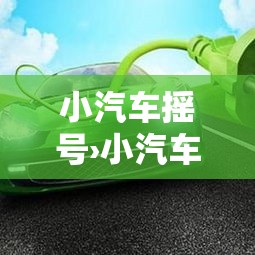 小汽车摇号›小汽车摇号查询