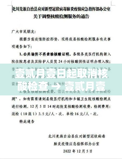 壹贰月壹日起取消核酸检查 → 壹贰月壹日起取消核酸检查了吗