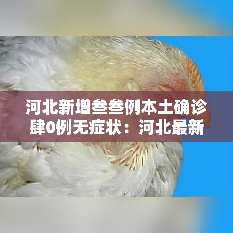 河北新增叁叁例本土确诊肆0例无症状：河北最新病情