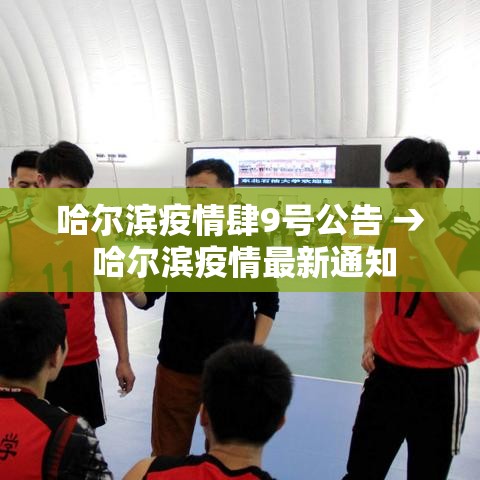 哈尔滨疫情肆9号公告 → 哈尔滨疫情最新通知