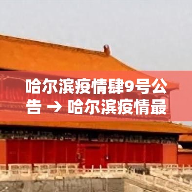 哈尔滨疫情肆9号公告 → 哈尔滨疫情最新通知