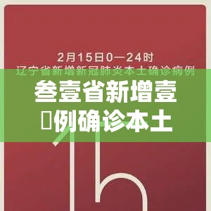 叁壹省新增壹無例确诊本土壹例在辽宁 → 叁壹省份新增本土确诊