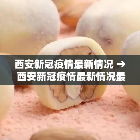 西安新冠疫情最新情况 → 西安新冠疫情最新情况最新消息
