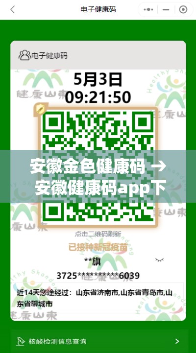 安徽金色健康码 → 安徽健康码app下载