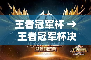 王者冠军杯 → 王者冠军杯决赛回放
