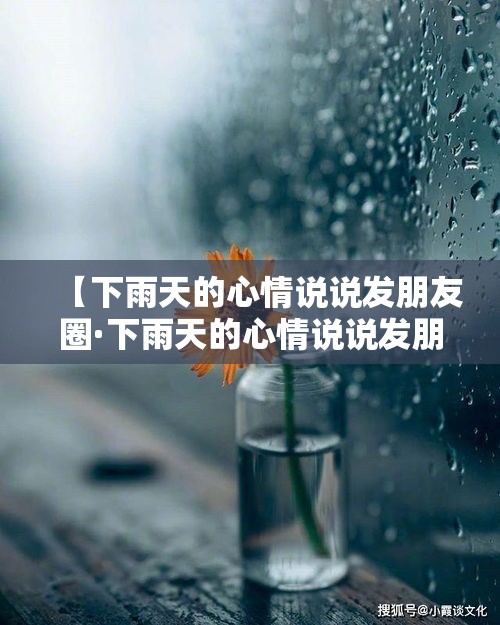 【下雨天的心情说说发朋友圈·下雨天的心情说说发朋友圈你那城市下雨了吗】
