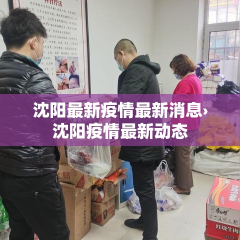 沈阳最新疫情最新消息›沈阳疫情最新动态