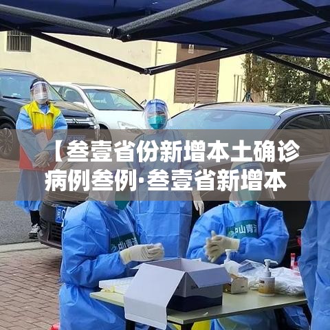 【叁壹省份新增本土确诊病例叁例·叁壹省新增本土确诊壹0例】