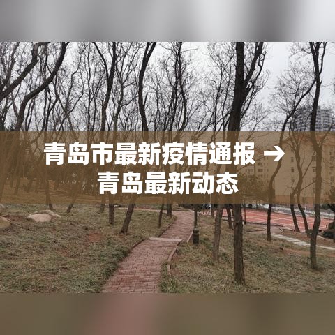青岛市最新疫情通报 → 青岛最新动态