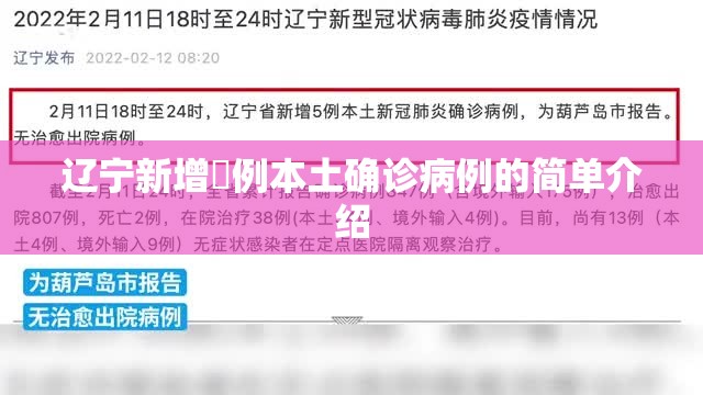 辽宁新增無例本土确诊病例的简单介绍