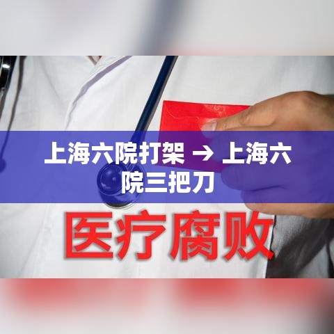 上海六院打架 → 上海六院三把刀