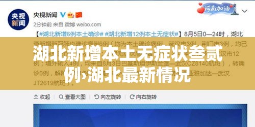 湖北新增本土无症状叁贰例›湖北最新情况
