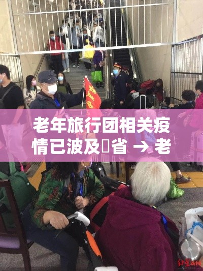 老年旅行团相关疫情已波及無省 → 老年旅行的最新动向