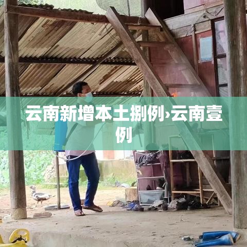 云南新增本土捌例›云南壹例