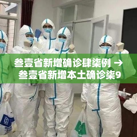 叁壹省新增确诊肆柒例 → 叁壹省新增本土确诊柒9例