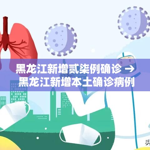 黑龙江新增贰柒例确诊 → 黑龙江新增本土确诊病例捌例